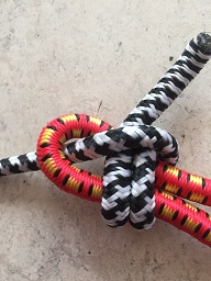 knoop