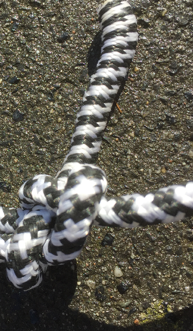 knoop